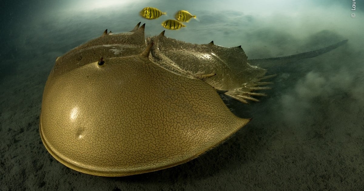 Start a Reservation visual data 5