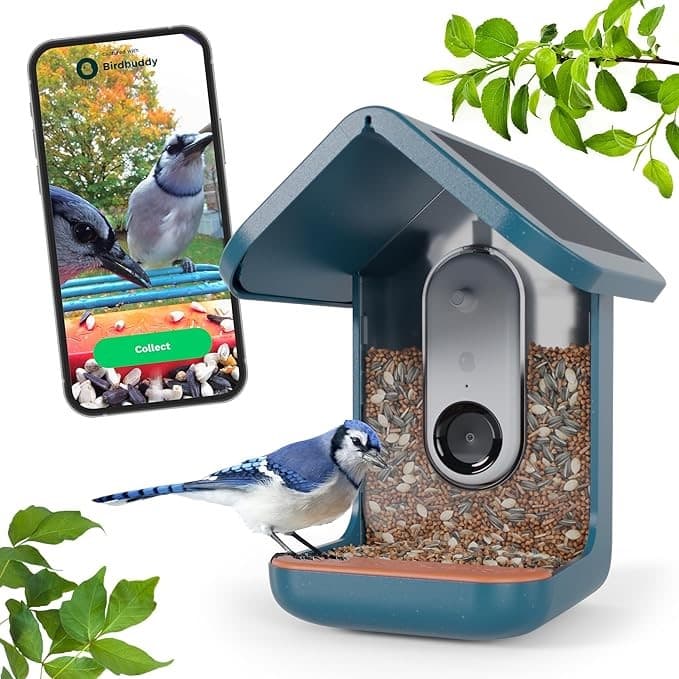 Smart Bird Feeder with Solar Powered Camera