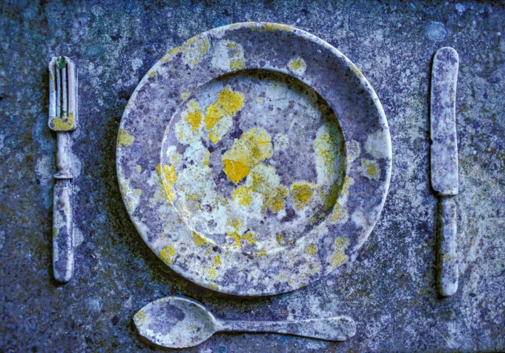 Old plate and cutlery covered in lichen