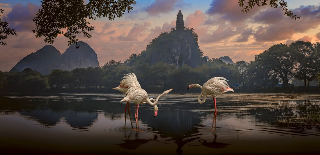 Panorama of cranes in China