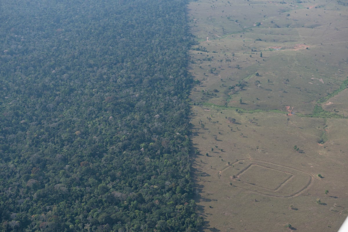 aerial photo of Amazon forest showing indigenous artwork