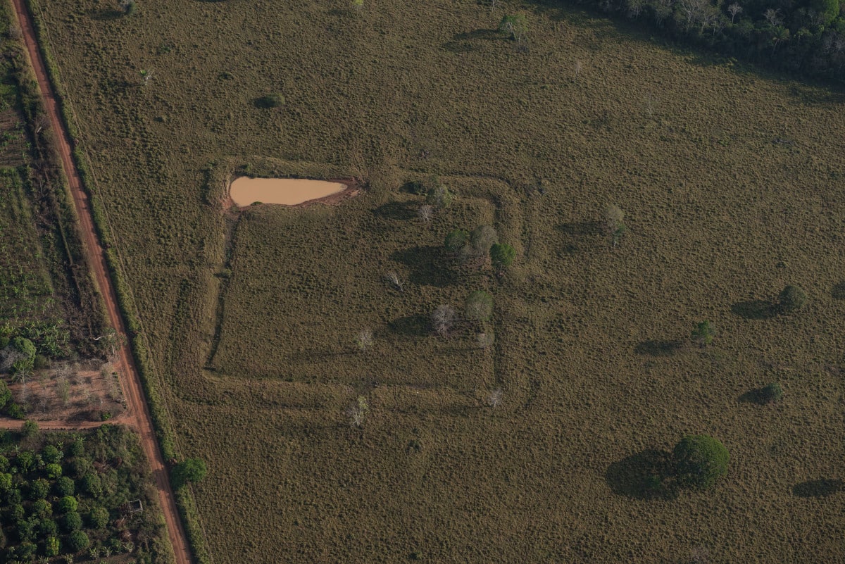 aerial photo of Amazon forest showing indigenous artwork