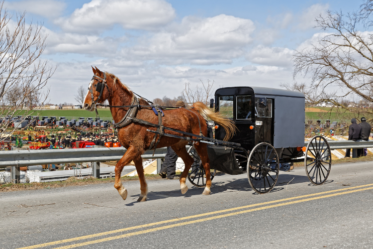 An Amish horse and carriage drives by a benefit auction (Amish mud sale) in Lancaster County, Pennsylvania.