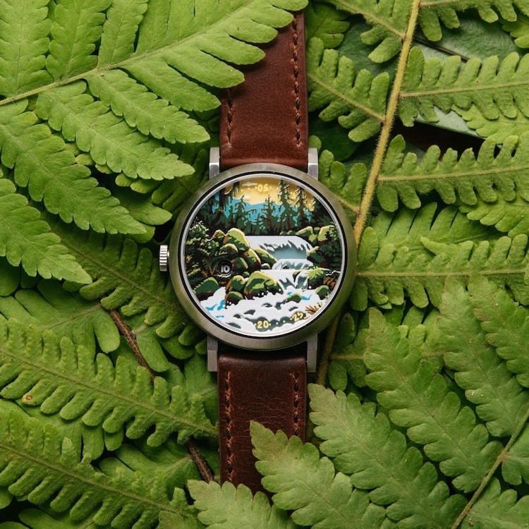 Asterisk National Parks Watches