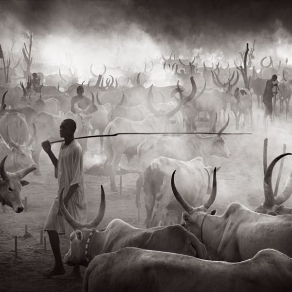 https://mymodernmet.com/wp/wp-content/uploads/2023/10/drew-doggett-mundari-tribe-square.jpg