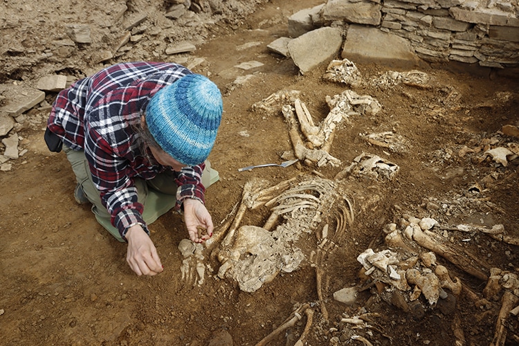 Impressive Scottish Neolithic Stone Tomb With Hugging Skeletons