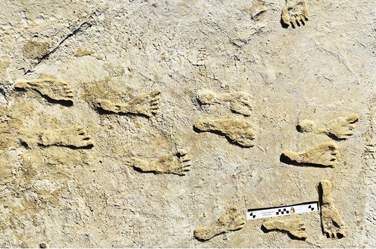 Reassessment of Human Footprints Indicates Humans May Have Lived in Ice Age America