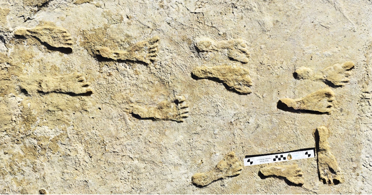 Footprints in New Mexico Suggest That Humans Were Already in North America Over 20,000 Years Ago