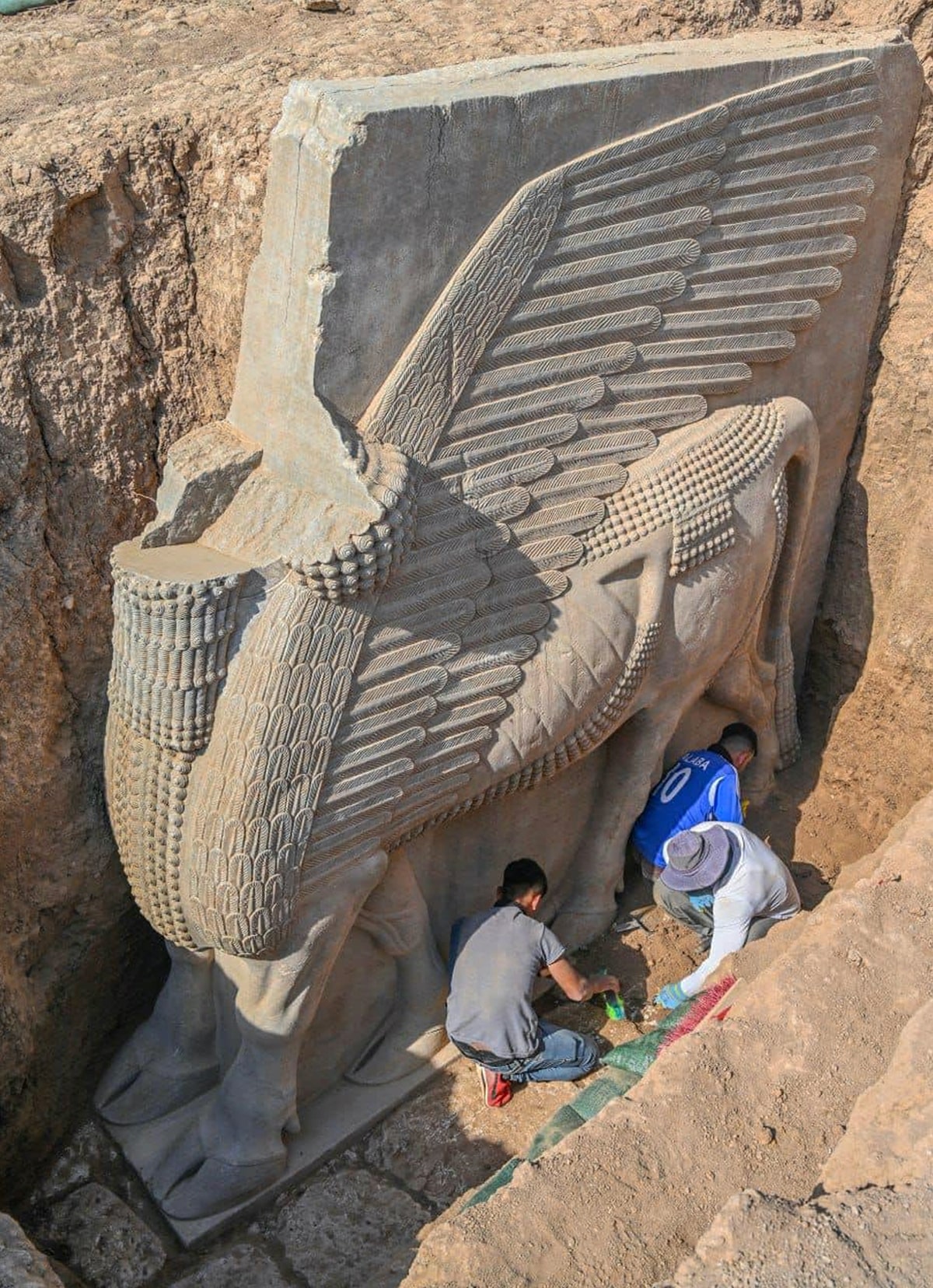 Ancient Assyrian Lamassu Excavated in Iraq