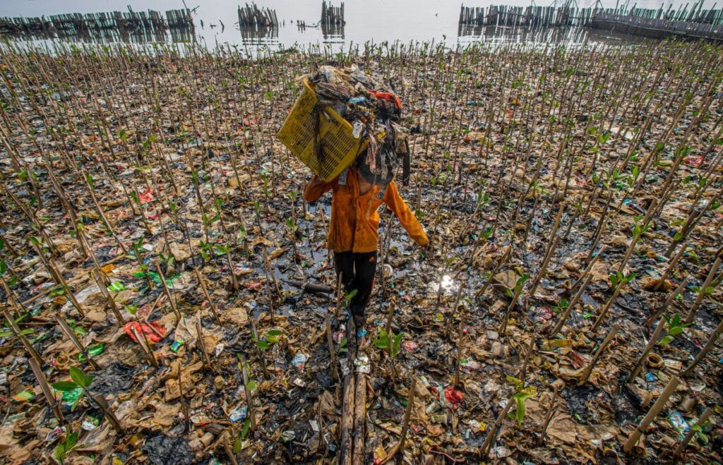 A worker carries a crate full of garbage from the North Coastline of the city of Jakarta, Indonesia.