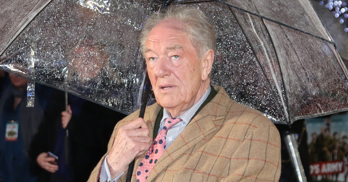 ‘Harry Potter’ Stars Pay Tribute to the Late Actor Michael Gambon