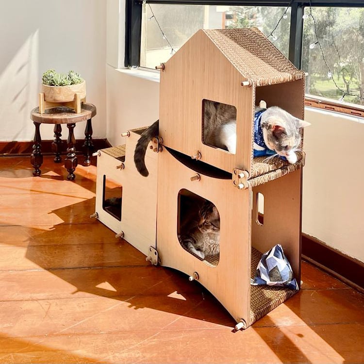 cats inside modular cat furniture