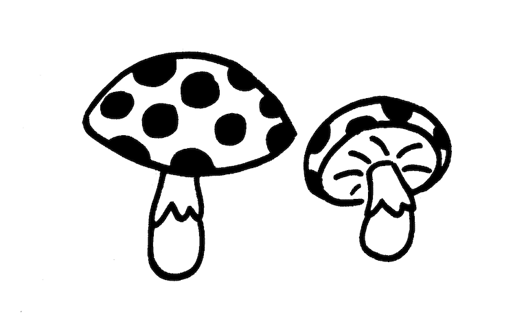 mushrooms 1