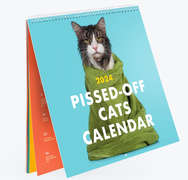 2024 pissed off cats calendar