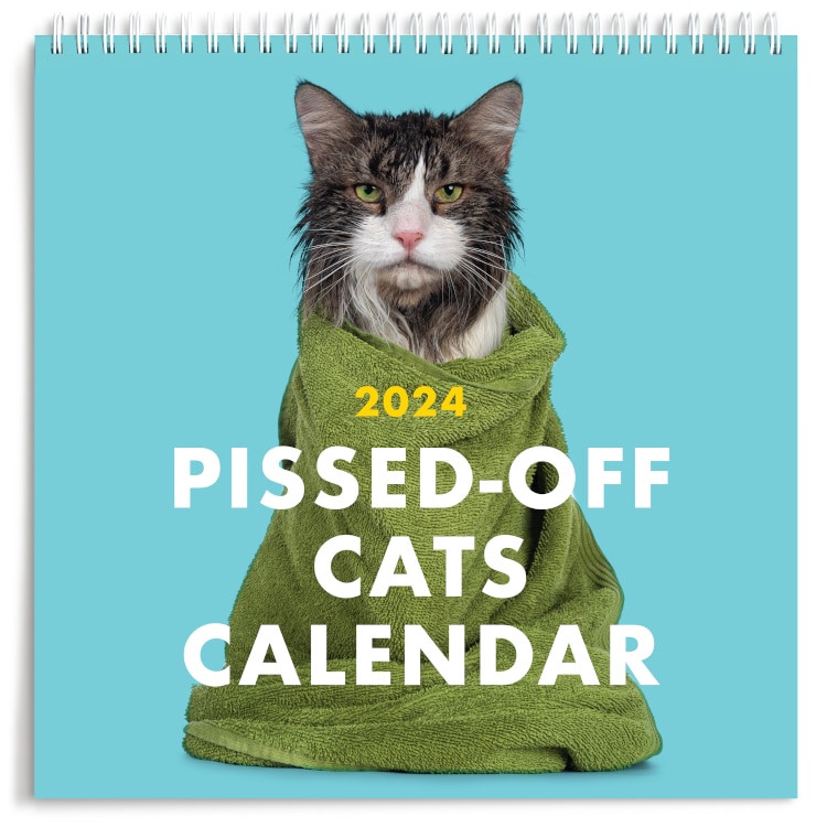 Pissed Off Cats 2024 Calendar 2 