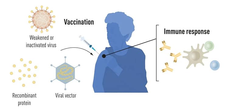 Study Finds Millions of mRNA Vaccines Produced No Immediate Severe Side Effects