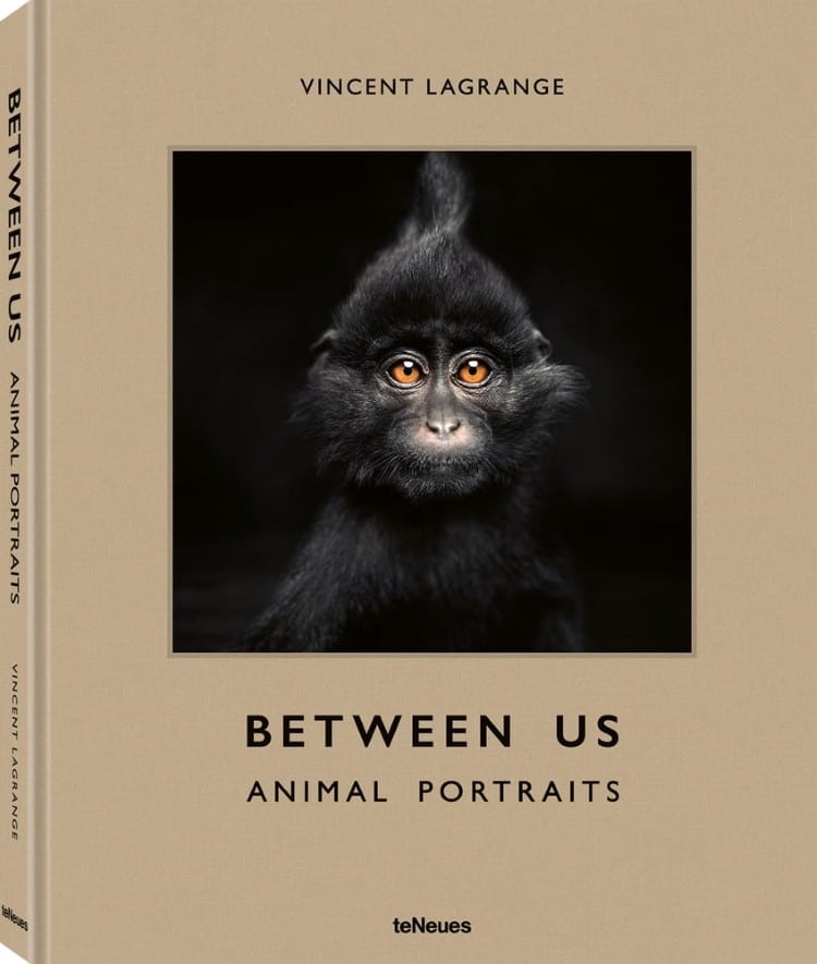 Vincent Lagrange Between Us Animal Portraits