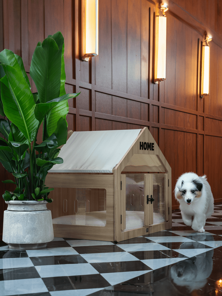 Wooffy Modern Dog House