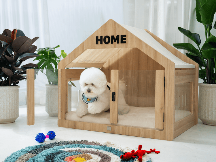 Wooffy Modern Dog House