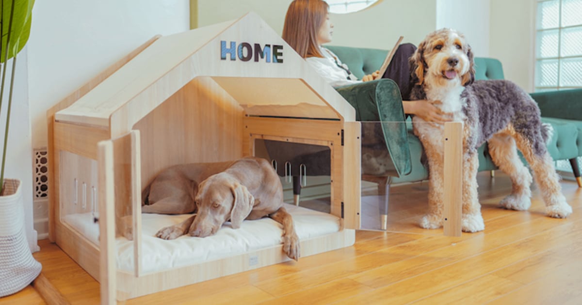 This Wooden Dog House Is the Perfect Modern Dwelling for Sophisticated Pups