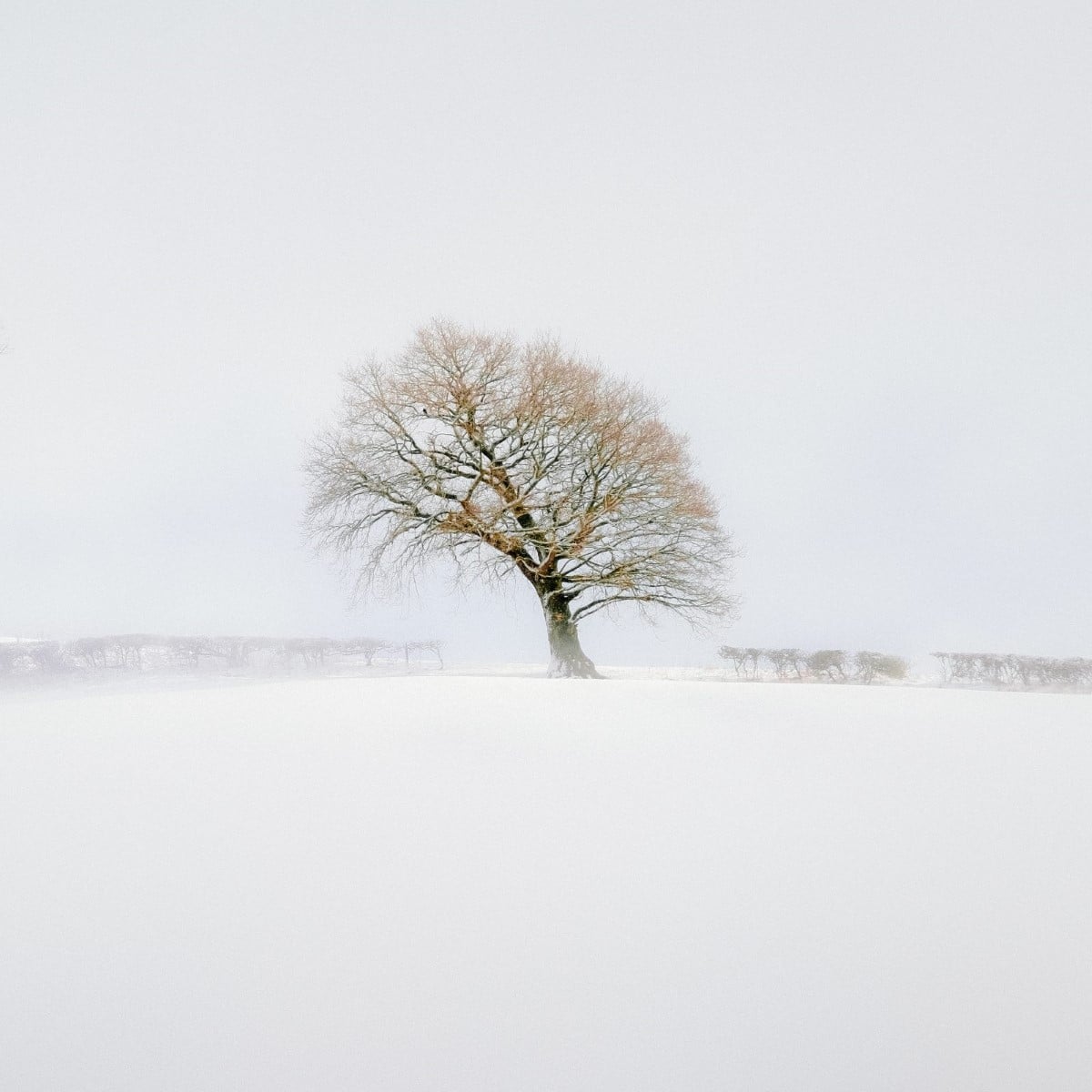 UK Landscape Photographer of the Year