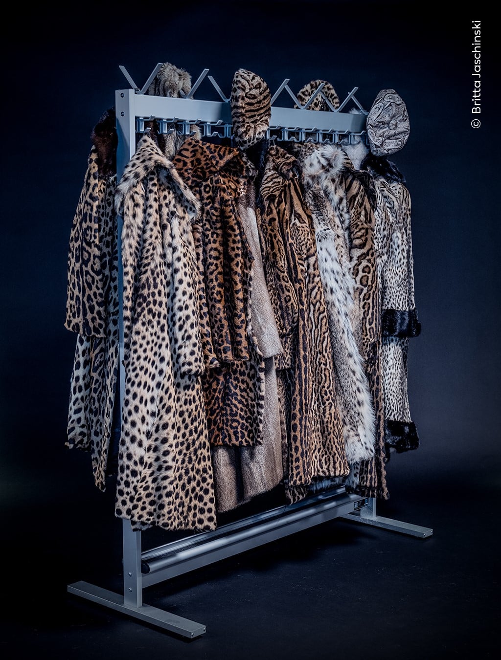 Rack of fur coats made from endangered big cats