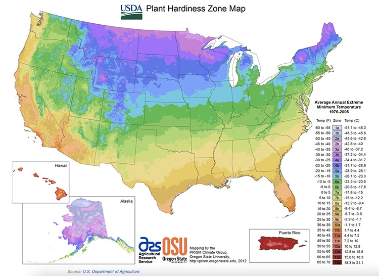 Plant Hardiness Map for 2023 Confirms Gardner Suspicions