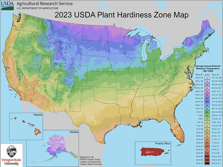 Plant Hardiness Map for 2023 Confirms Gardner Suspicions