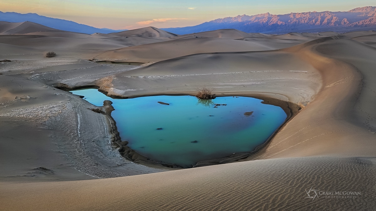 Mesquite Flat Sand Dunes with Water by Craig McGowan