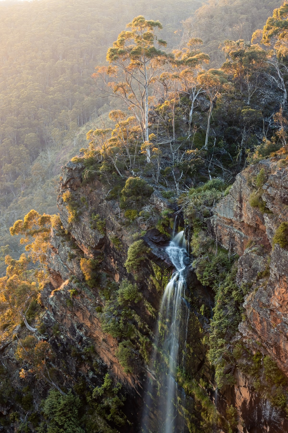 Waterfall on a tree-covered cliff