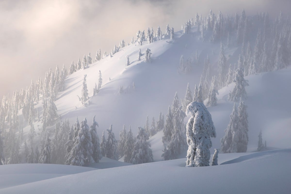 Winter landscape by Blake Randall