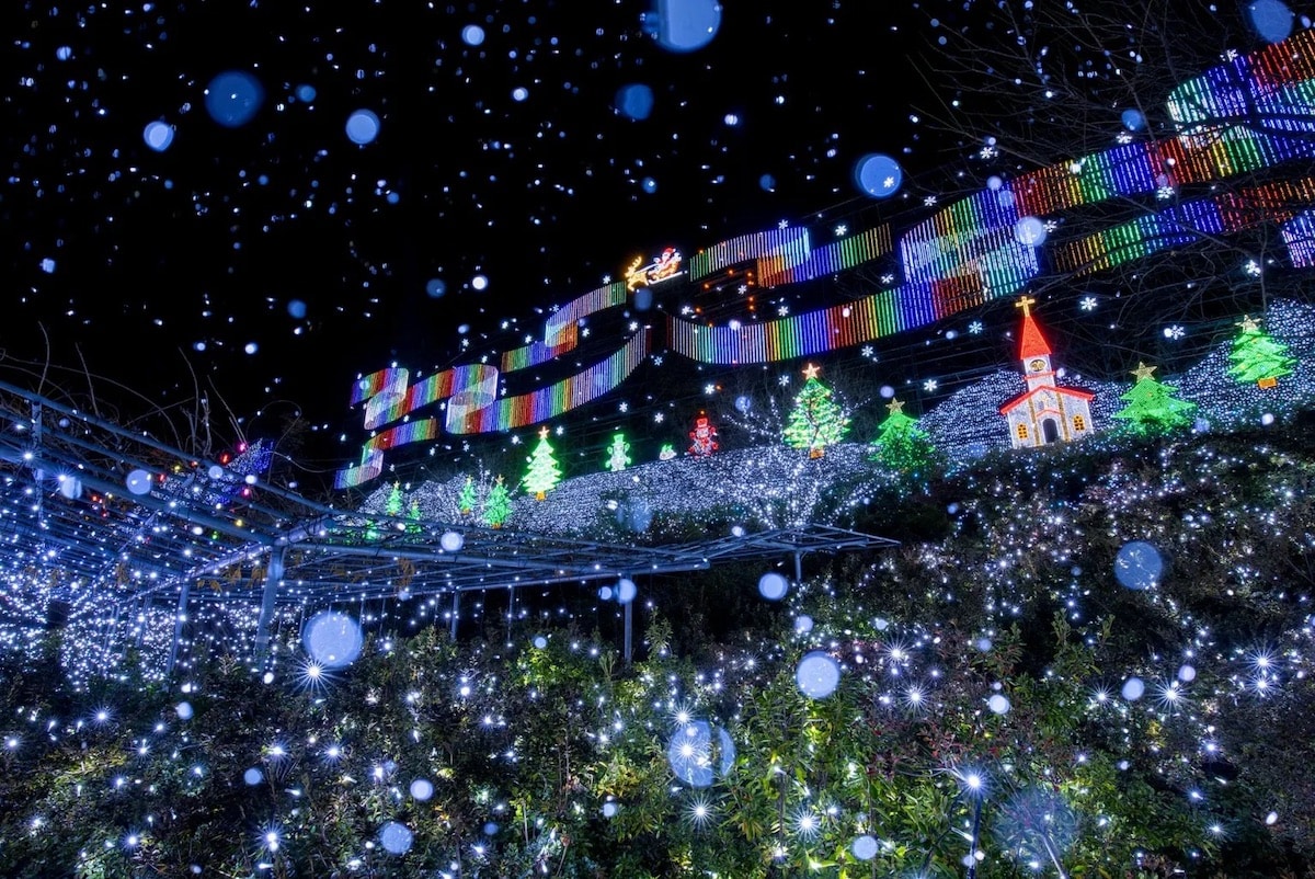 Ashikaga Flower Park Installation