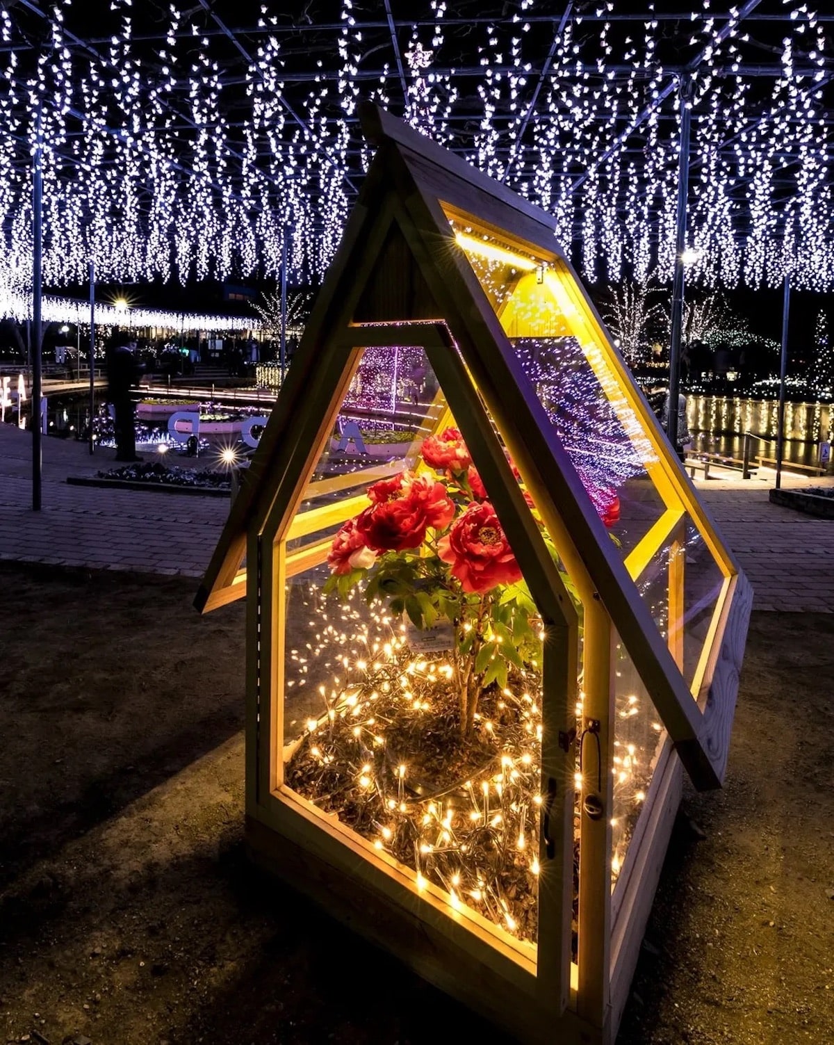 Ashikaga Flower Park Installation