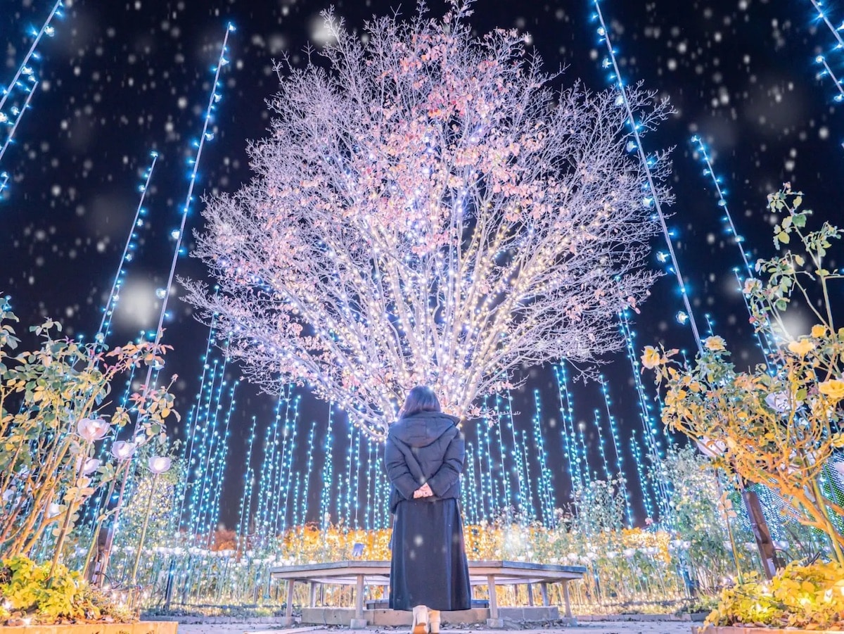 Ashikaga Flower Park Installation