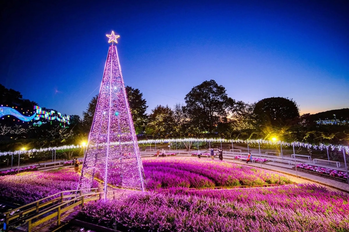 Ashikaga Flower Park Installation