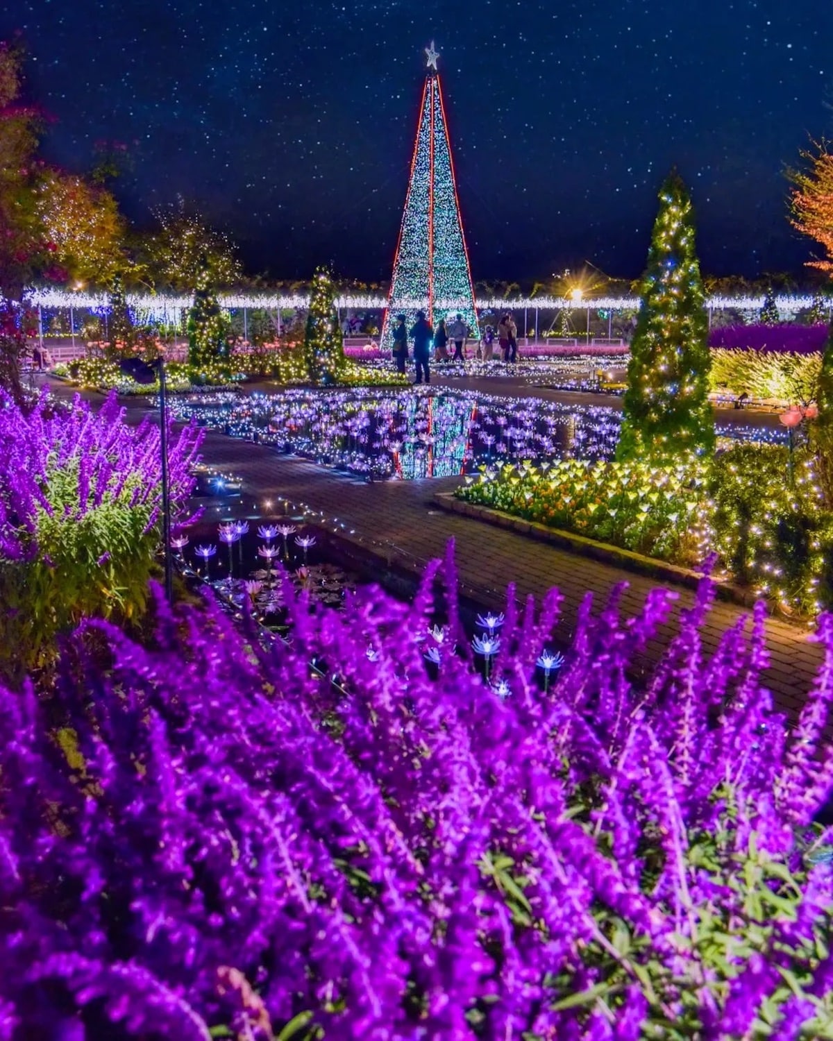 Ashikaga Flower Park Installation