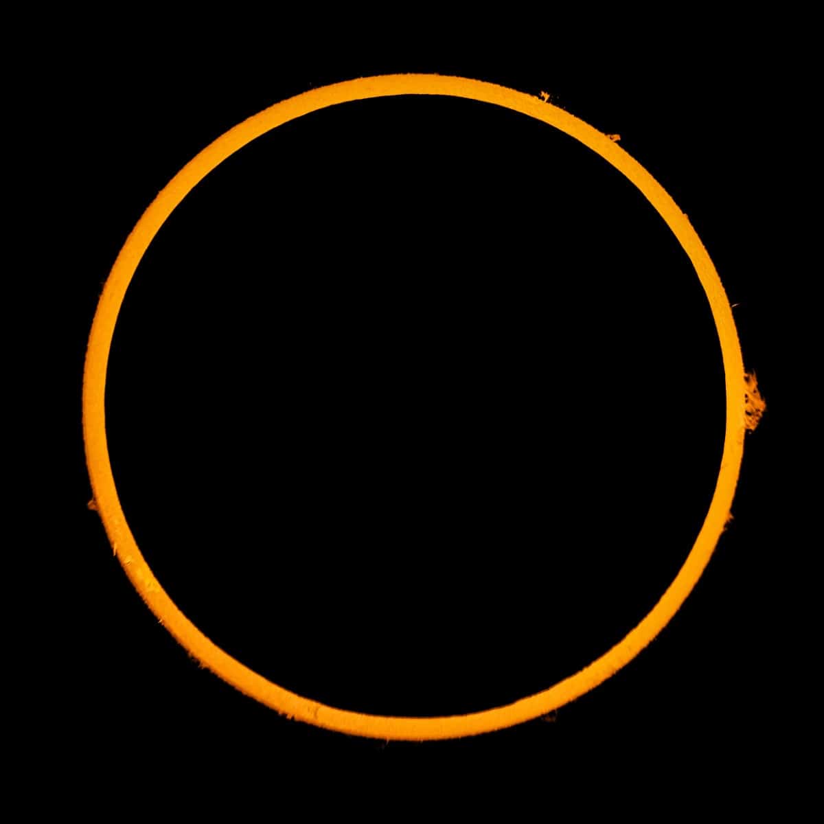 Ring of Fire Eclipse - Jason Kurth
