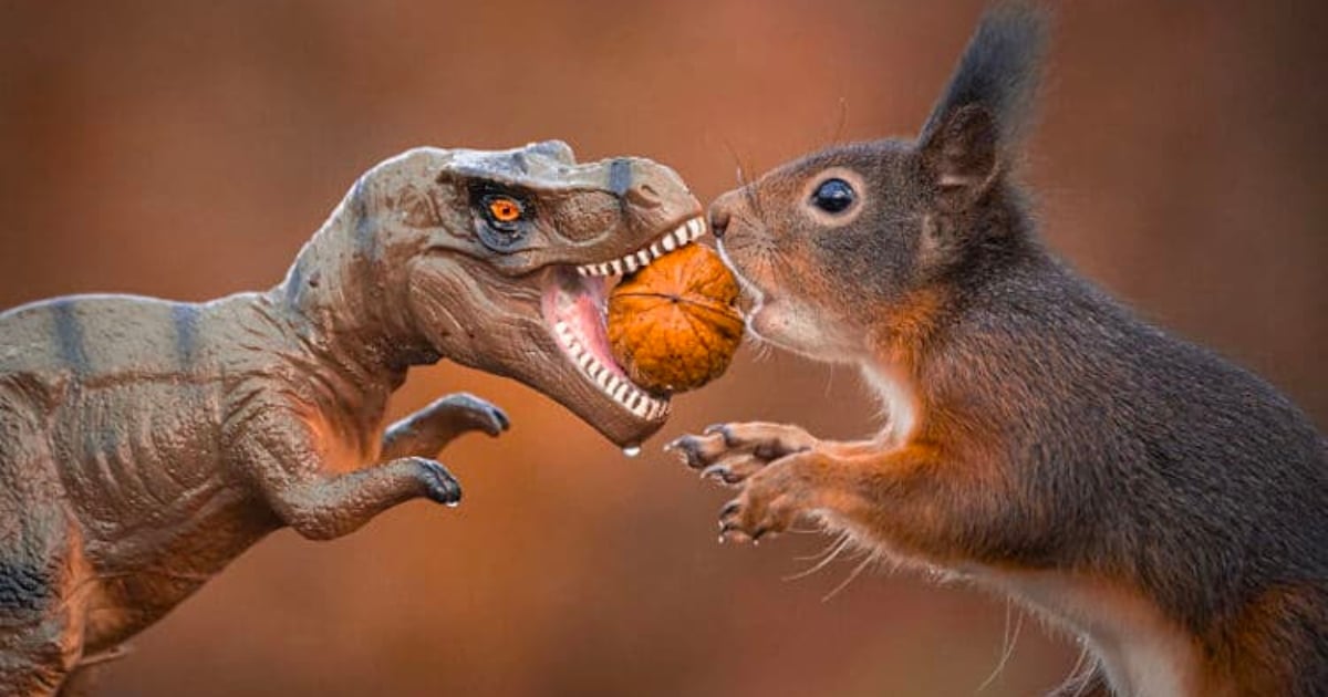 Playful Scenes of Squirrels Interacting With Toy Dinosaurs