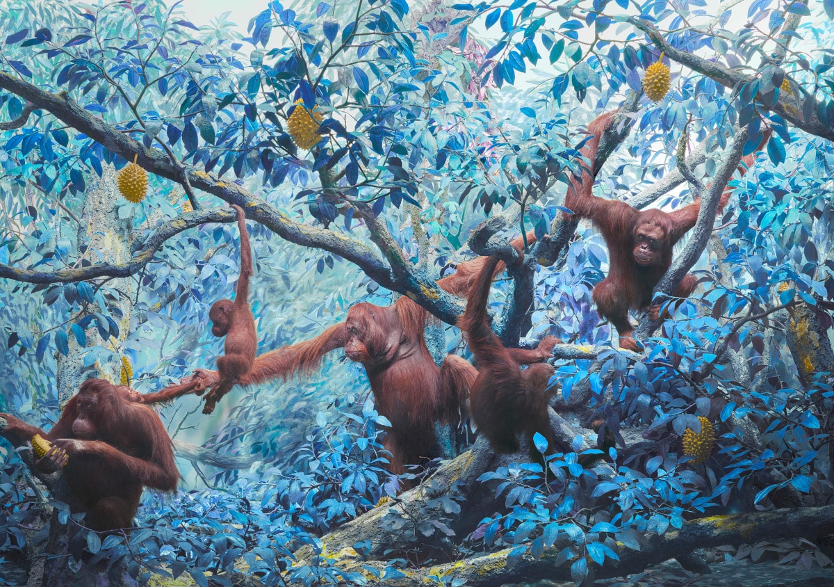 orangutans in blue tinted forest