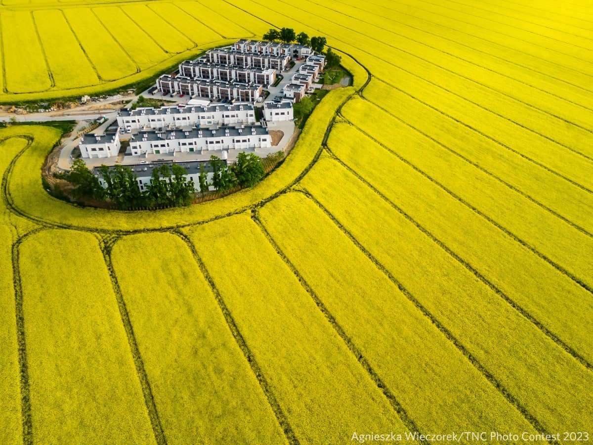 Aerial photo of Swidnica Poland surrounded by yellow rapeseed fields