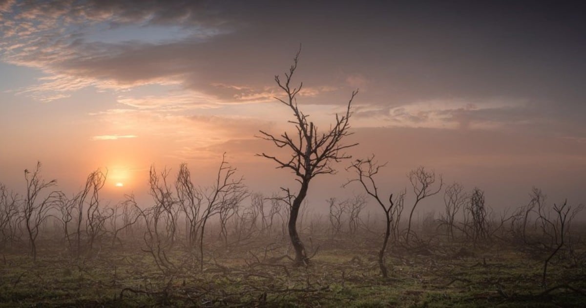 Stunning Winners of the UK Landscape Photographer of the Year Contest