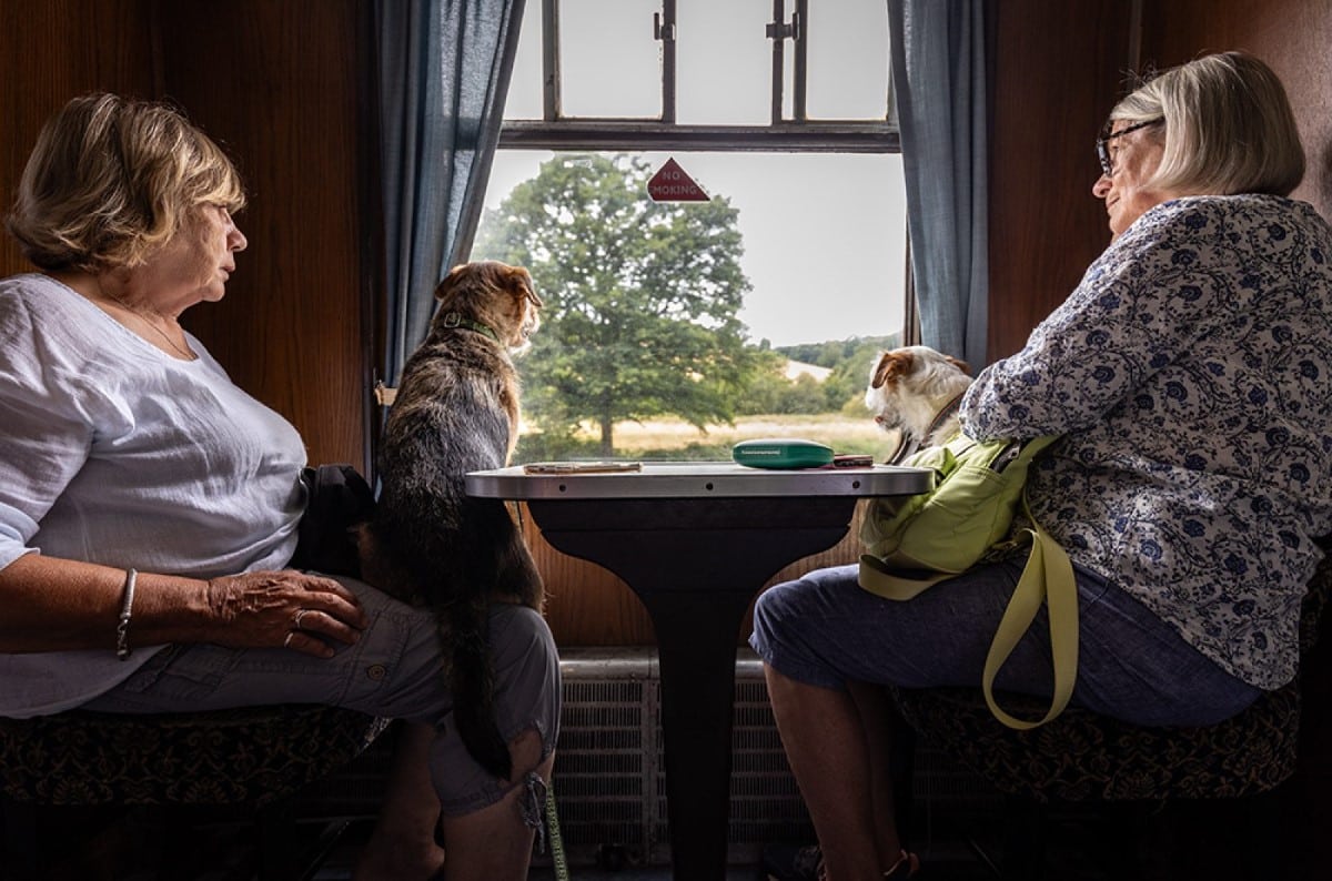 Woman sitting on a train with her dog and cat
