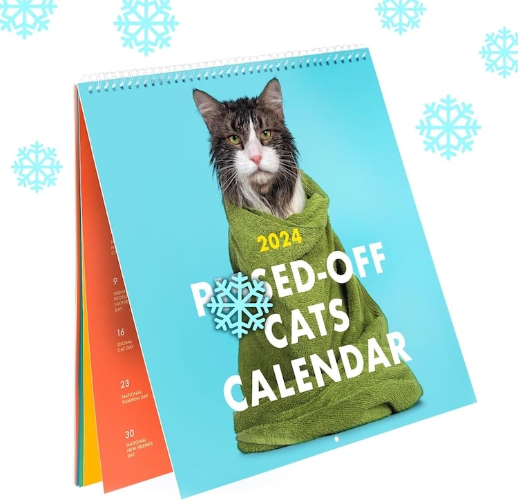 Pissed-Off Cats Calendar