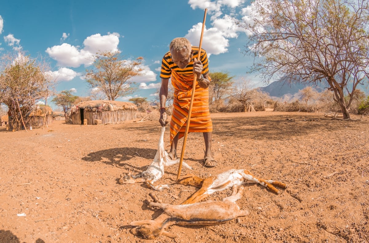 Kenyan shepherd crying over the bodies of dead baby goats