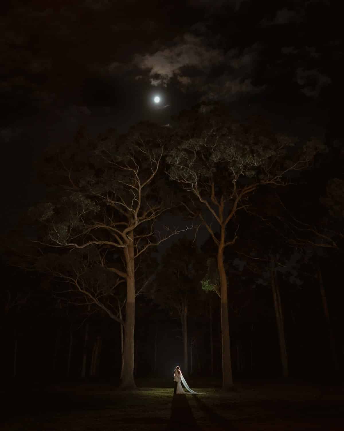 Bride and groom in the forest under the moonlight