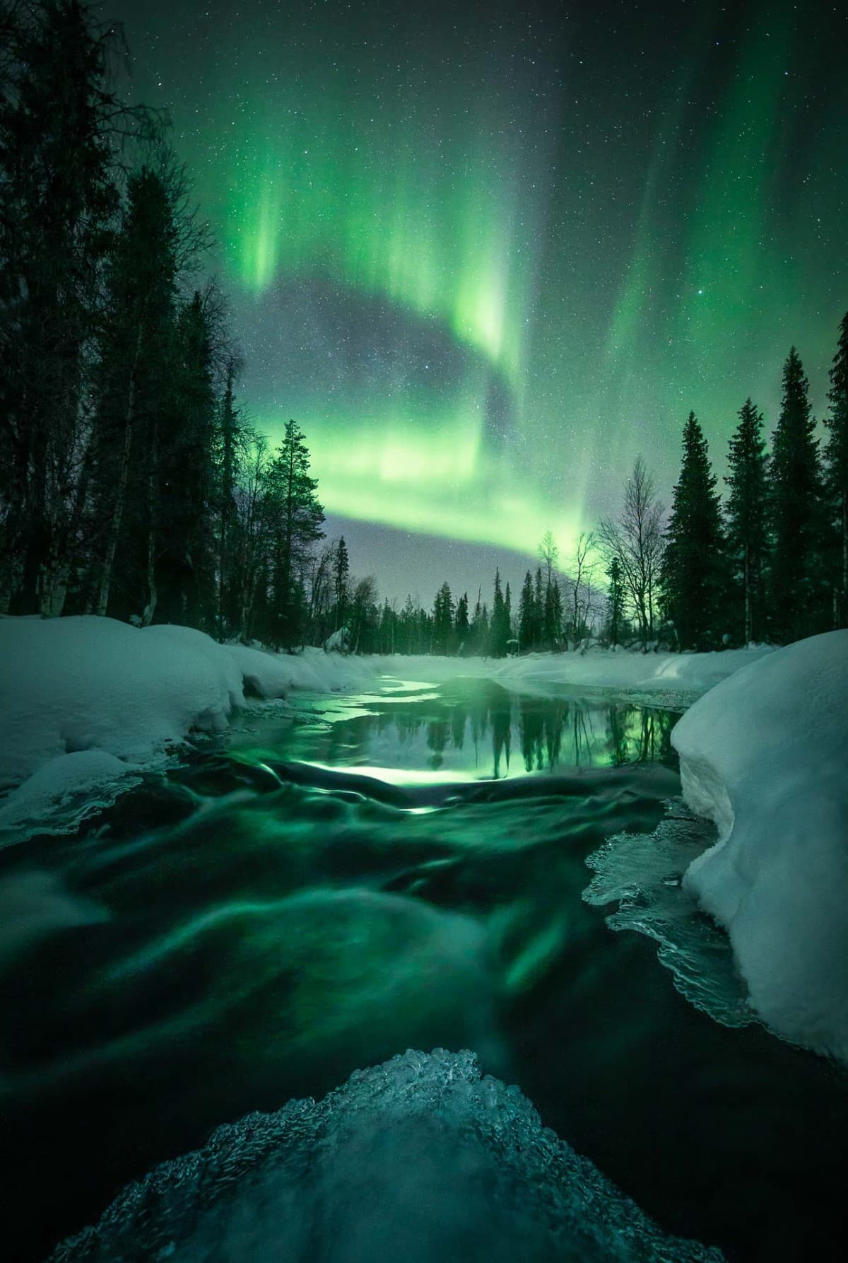 Aurora in forest of Finnish Lapland
