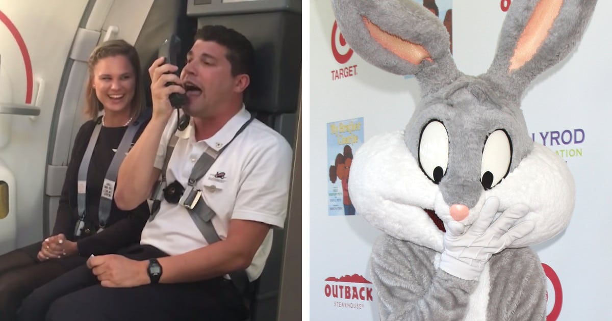 Flight Attendant Gives Announcement Imitating the Voices of Beloved Looney Tunes Characters