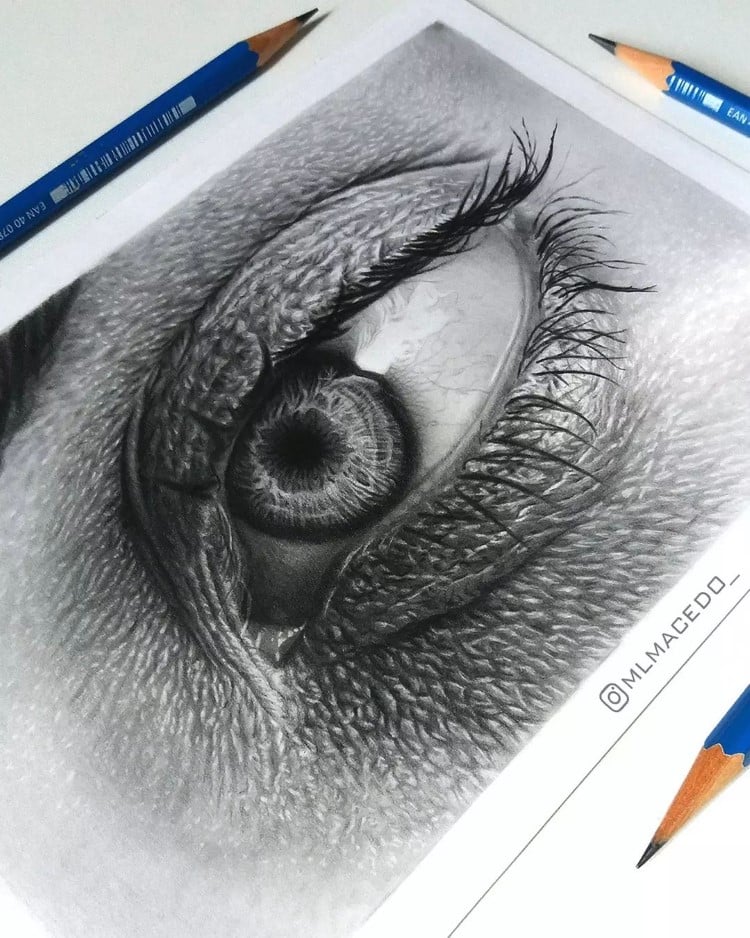 How to Draw a Realistic Eye: An Easy Step by Step Guide