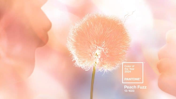 Pantone 2024 Color of the Year