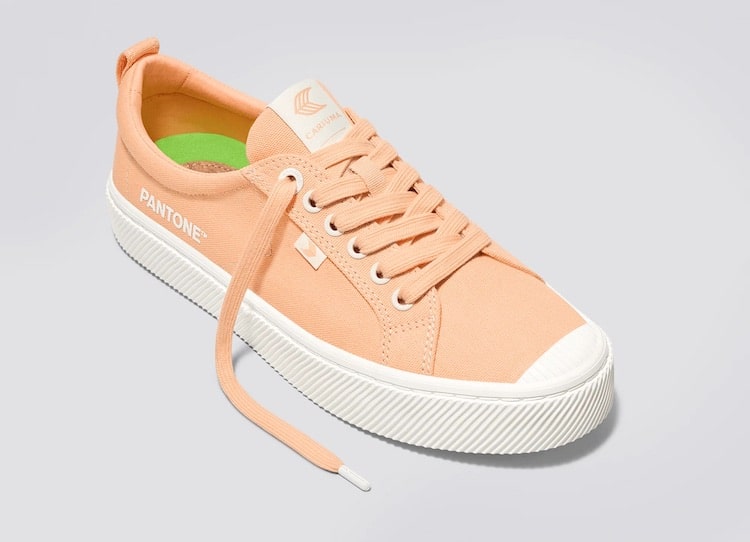 Peach Fuzz Pantone Color of the Year 2024 Products